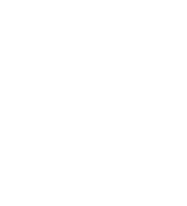 Elnora Marketing Consultancy Logo