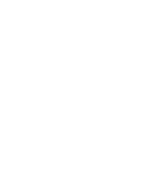 Elnora Media Digital Marketing Agency